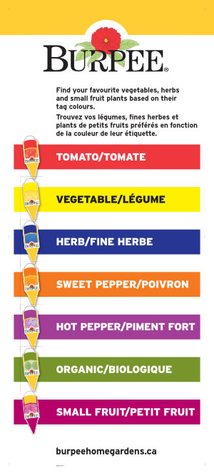 Poster - Color Coding