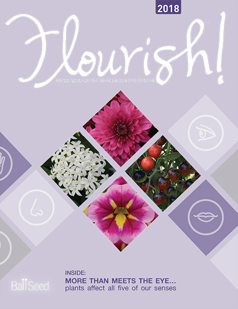 Flourish! 2018