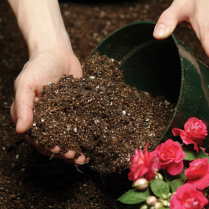 Ball Professional Growing Mixes