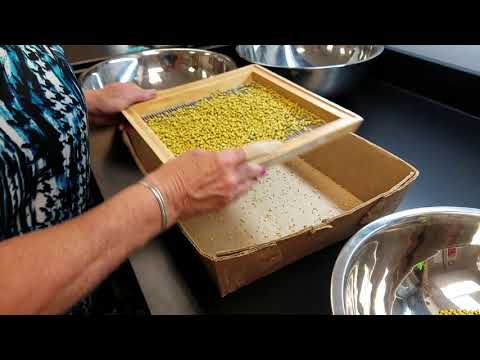 Part I: What is Seed Pelleting? thumbnail