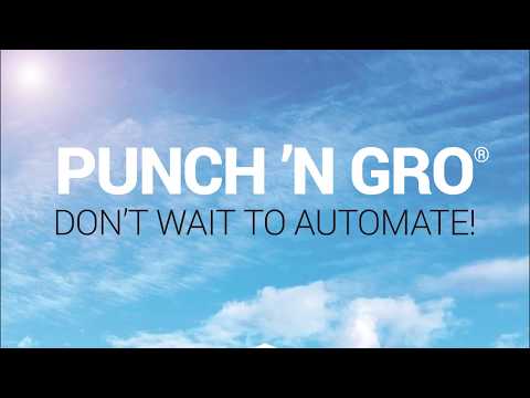 Punch 'N Gro - Don't Wait to Automate thumbnail