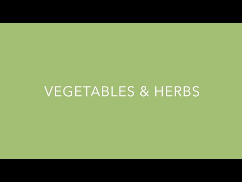 HandPicked Vegetables Collection from PanAmerican Seed thumbnail