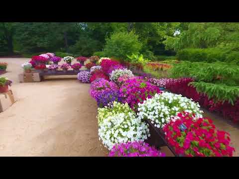Garden Tour Highlights - Ball Seed Customer Days 2022 thumbnail