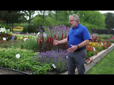 Kieft Seed - Ball Seed Customer Days 2022 thumbnail