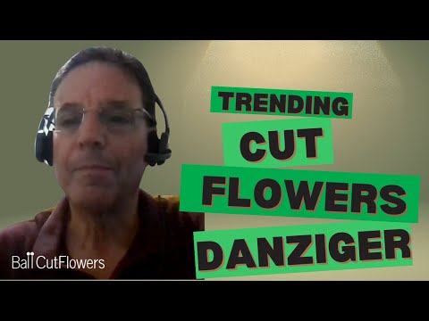 Trending Cut Flowers from Danziger for 2024-2025 thumbnail