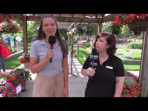 Ball Seed Customer Days 2022 - GrowerTalks Magazine thumbnail
