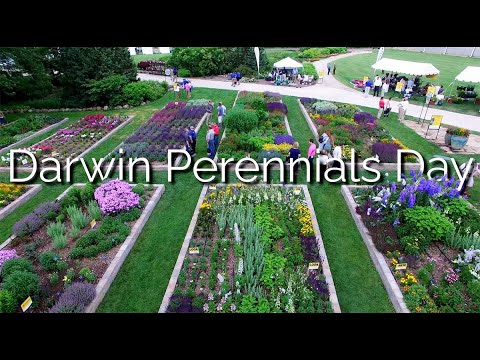 Visit With Us! Darwin Perennials Day 2022 thumbnail