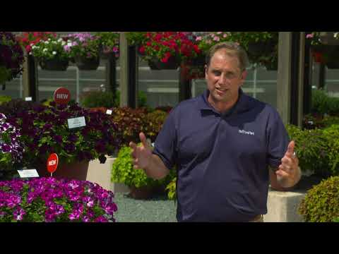 Selecta One - The Gardens at Ball Trials 2021 thumbnail