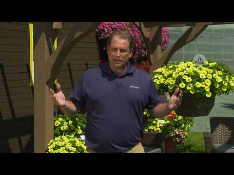 Ball FloraPlant - The Gardens at Ball Trials 2021 thumbnail