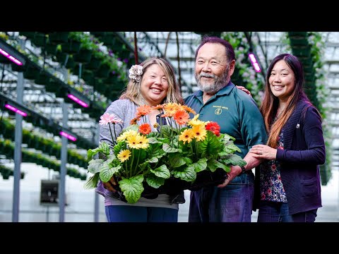 Philips LED Top Lighting - Iwasaki Bros. Inc. thumbnail