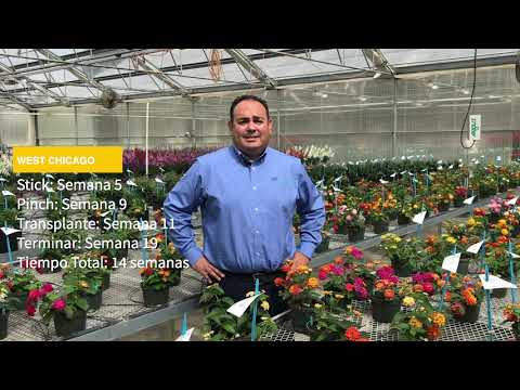Tech Talk en espanol - Lucky Lantana thumbnail