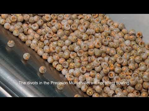 Precision Multi-Pellet Seed - Grower Recommendations thumbnail