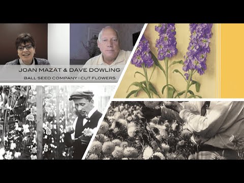 A Conversation with Dave Dowling: All Things Cut Flowers & The ASCFG Dowling Scholarship thumbnail