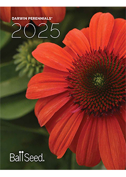 2025 Darwin Perennials