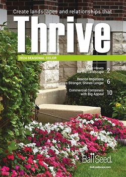 Thrive 2024