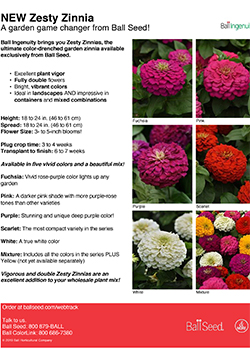 Zinnia Zesty Info Guide