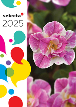 2025<br>Selecta One