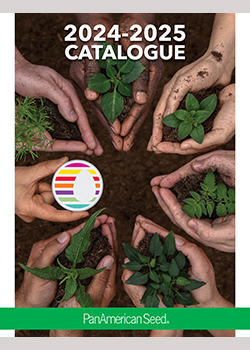 2024-2025 PanAmerican Seed