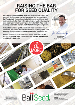 Print Ad - Ball Seed Quality