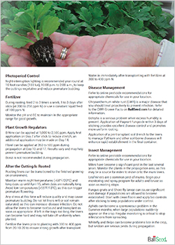 2022 Ball Mums Propagation Guide