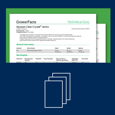 Culture Sheets