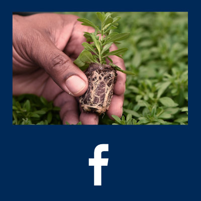 Greenhouse Tech Team Facebook Group